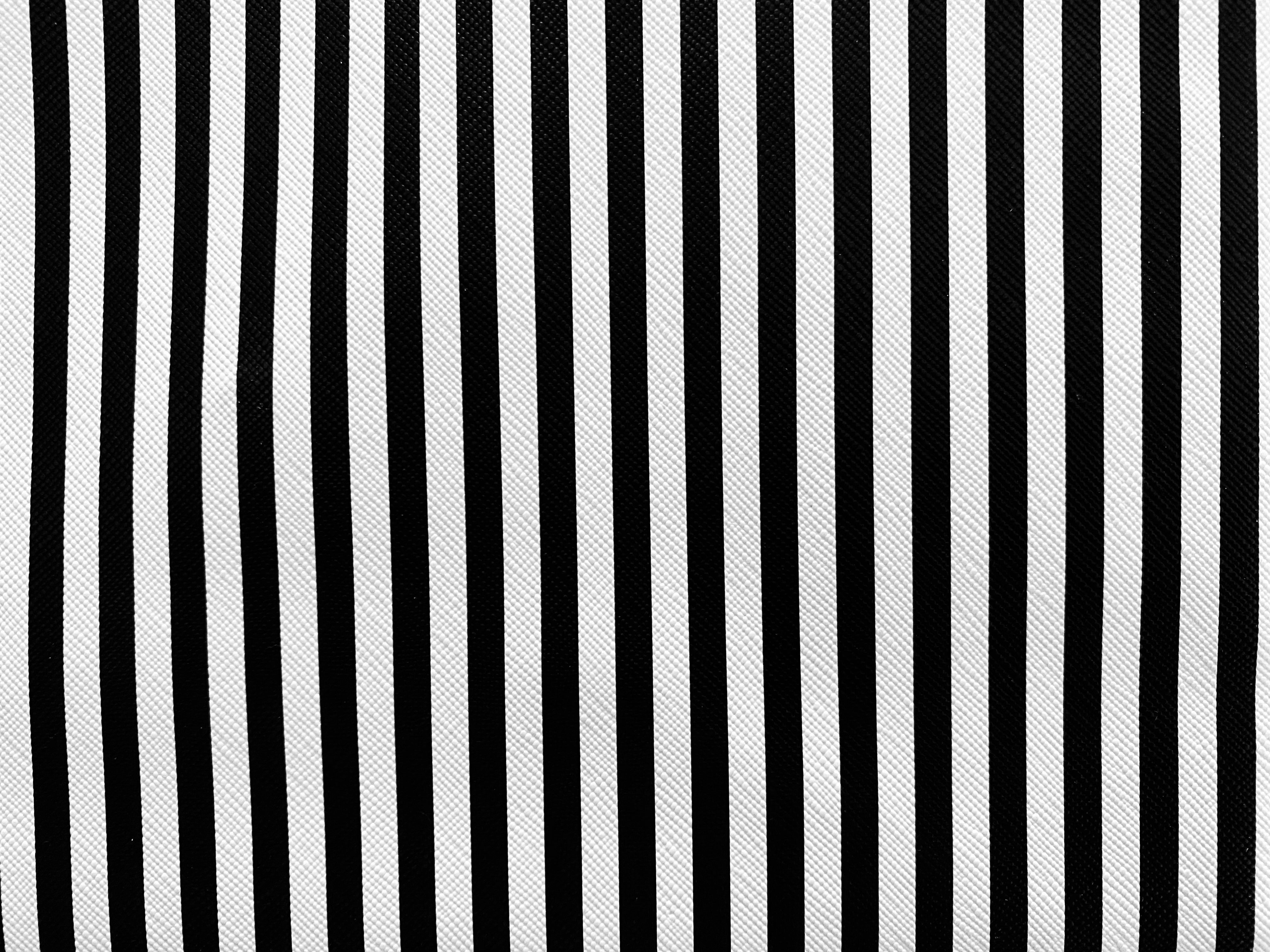 Convertible Clutch - Vertical Stripes  Black and White